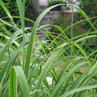 Без имени-13